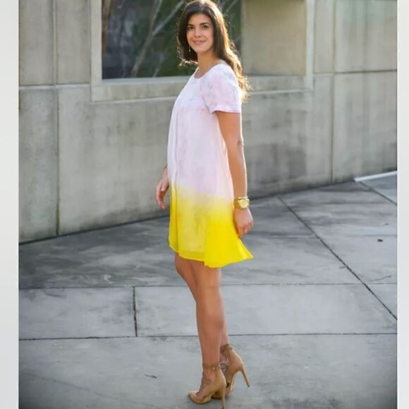 Anthropologie Hd In Paris Dipped Chroma Swing Dress Size 0 - Picture 10 of 14